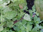 20150704_065215.jpg