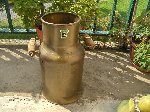 plantes 015.jpg