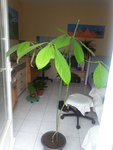20150705_103632.jpg