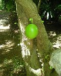 DSCN1340.jpg