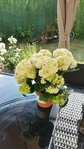20150707_092204_resized.jpg