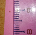 photo1.jpg