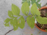 DSCN6036.JPG