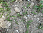 DSCN1427.resized.JPG