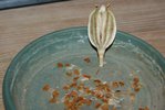 DSC01743.JPG