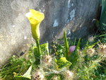 DSCN1444.resized.JPG