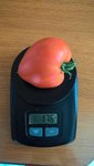Voici pour l'instant la plus grosse tomate de l'année.<br />C'est une cœur de bœuf,mais elle ne va pas profiter longtemps de la première place du podium car ananas arrive!!