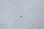 IMG_2320b (Copier).jpg