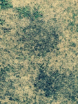FullSizeRender.png