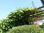 Ma cabane de jardin est dessous !!