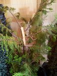 IMG_20150717_070747.jpg
