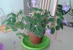 2015-07-11 09.04.50.jpg