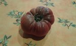 Tomate noire de dessus.jpg