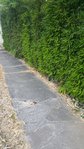 20150718_165742.jpg