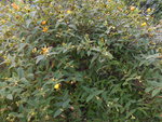 DSCN1501.resized.JPG