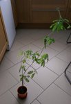 IMAG0231.jpg