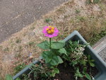 DSCF2118.jpg