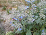 DSCN1504.resized.JPG
