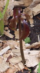 P1010002.JPG