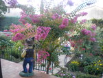 DSCN6311.JPG