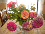 DSCN6331.JPG