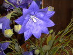 DSCN6258.JPG