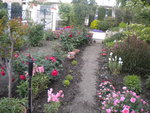 DSCN6128.JPG