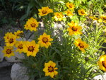 DSCN6215.JPG