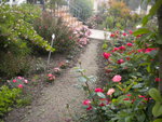 DSCN6173.JPG