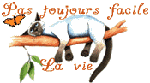 pasfacilelavie.gif