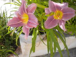 DSCN6272.JPG