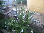 DSCN6274.JPG