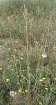 DSCN2225 - Copie.JPG