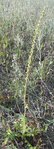 DSCN2282 - Copie.JPG