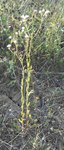 DSCN2278 - Copie.JPG