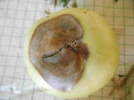 DSCN1541.resized.JPG
