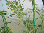 DSC01196a.jpg