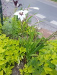 20150731_185428.jpg