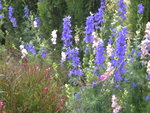 DSCN6237.JPG