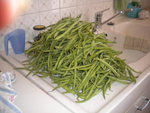 DSCN6285.JPG