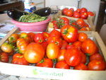 DSCN6313.JPG