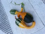 20150804_211458.jpeg