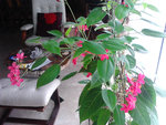 IMG_20150719_134124.jpg