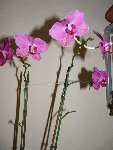 P1030054.JPG