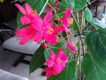 IMG_20150719_134134.jpg