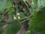 DSCF0222.JPG