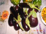 Aubergines.JPG