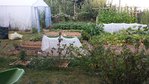 20150725_203042.jpg