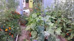 20150725_203109.jpg