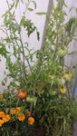 20150803_192758.jpg